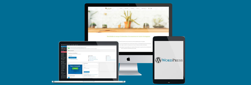 site wordpress