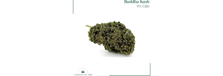 CBD Buddha Kush